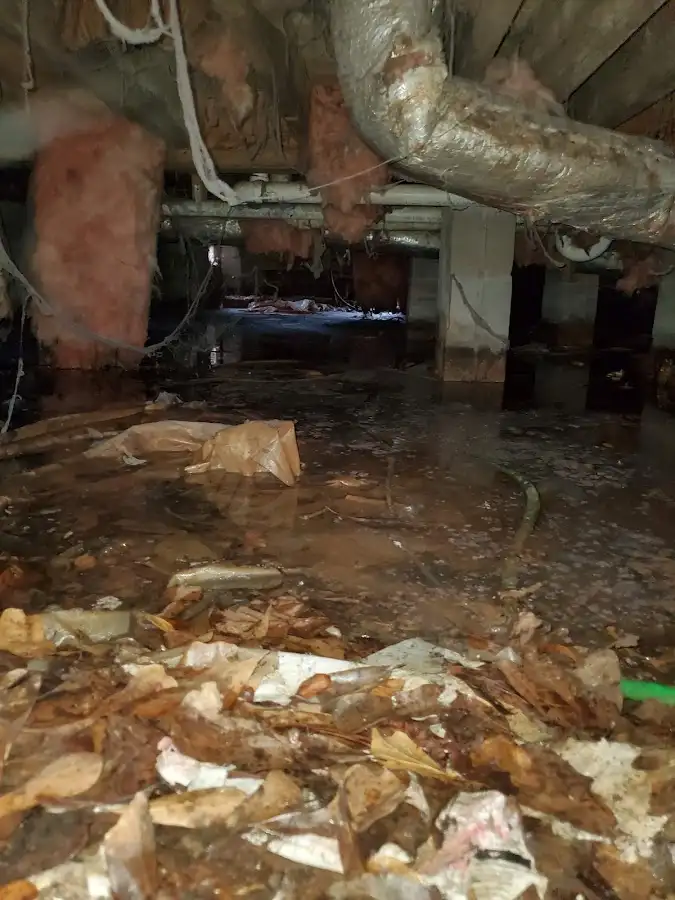 Crawl space flood assessment for Leak Detection & Repair in Horace